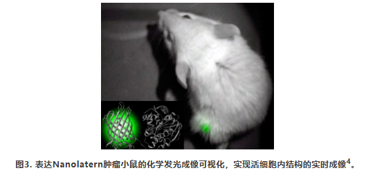 6a20d9d71aaf1.png image.png