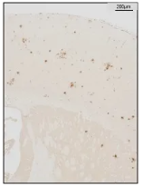 6a20e9e6edb6a.png image.png