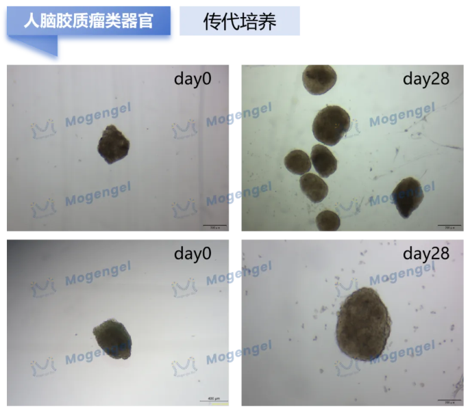 6a30f9117a3b7.png image.png