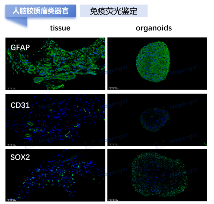 6a30f98fd30c8.png image.png