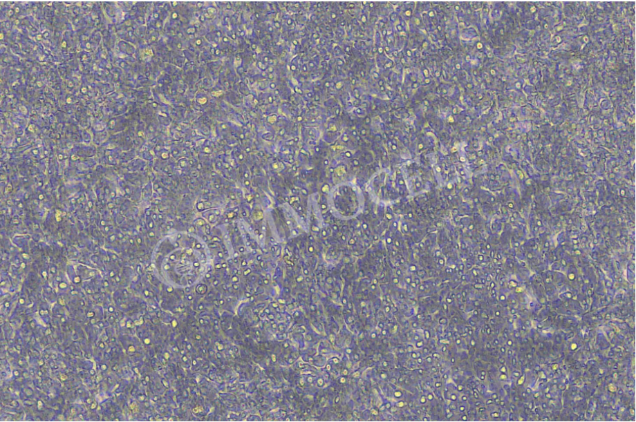 6a508d7967da5.png image.png