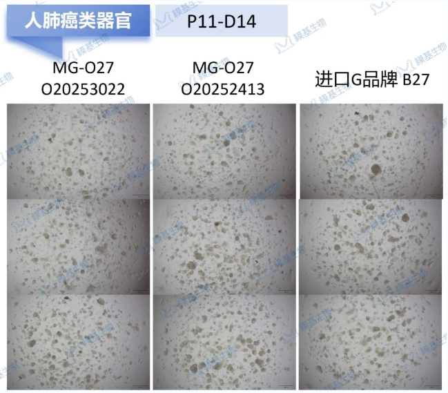6a50904fe6c59.png image.png