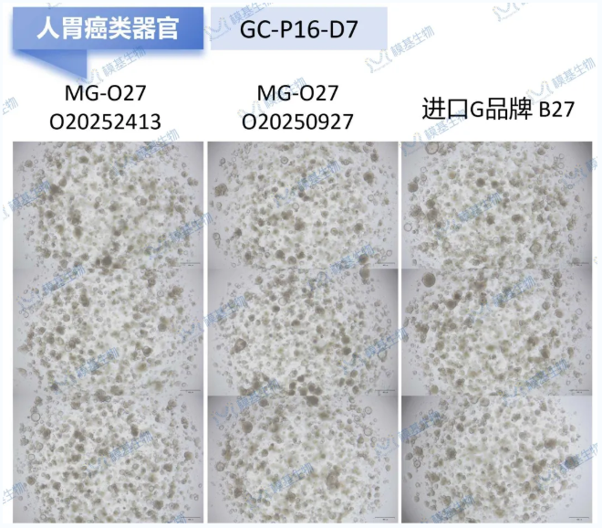 6a50906fa8cb1.png image.png