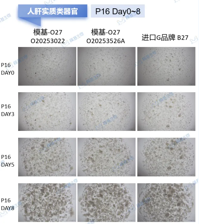 6a50908616469.png image.png