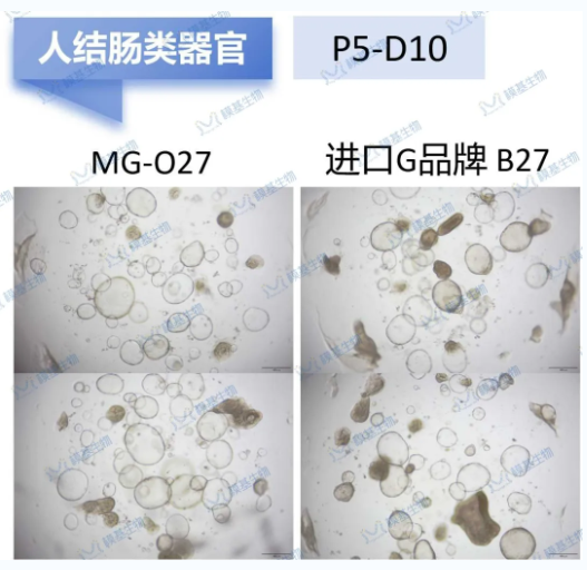 6a5090c89af6d.png image.png